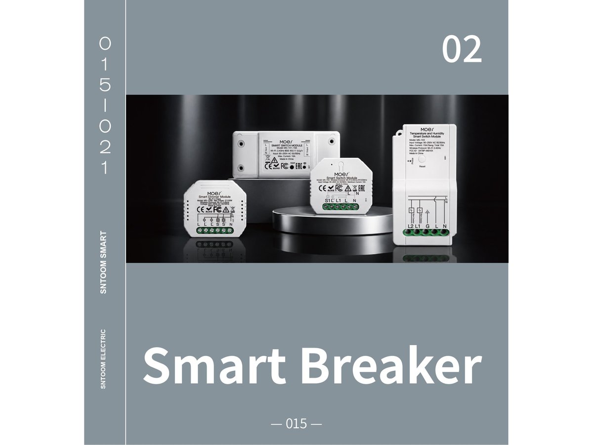 Smart Mini Switch Module 10A