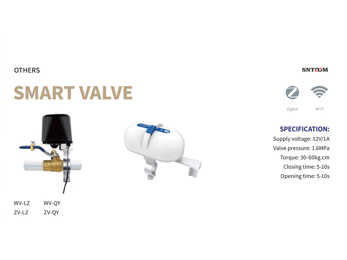 Smart Gas Valve Zigbee Auto Shutoff