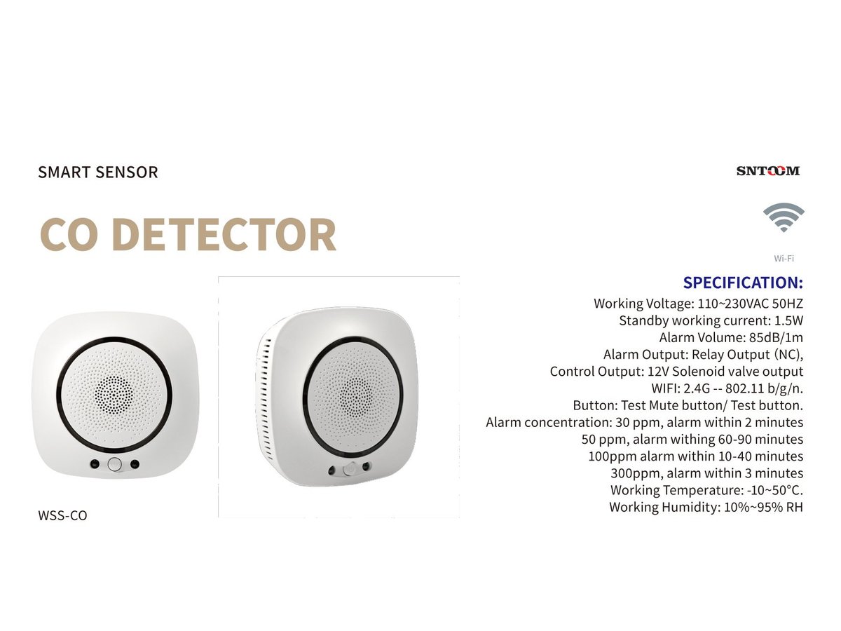 Smart Water Leak Sensor CR2032